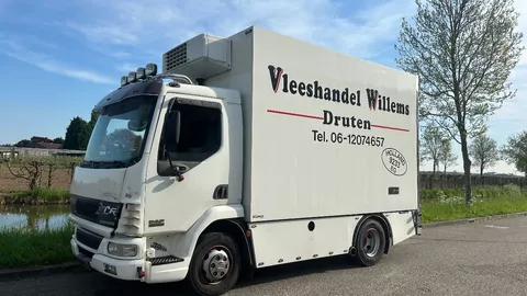 DAF LF 45.160 meat box | Thermo king | manuel gearbox |